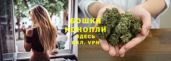 Альфа ПВП Магас