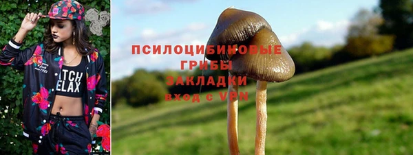 ПСИЛОЦИБИНОВЫЕ ГРИБЫ Магадан