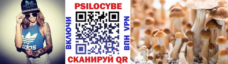 kraken ONION  Заозёрск  Псилоцибиновые грибы MAGIC MUSHROOMS 